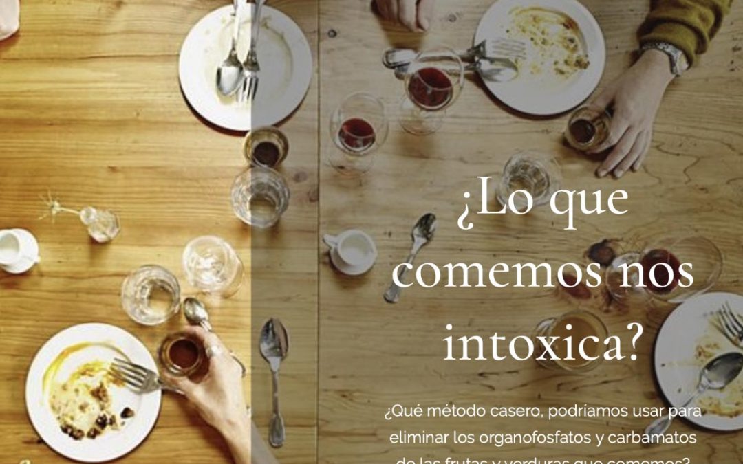 ¿Lo que comemos nos intoxica?