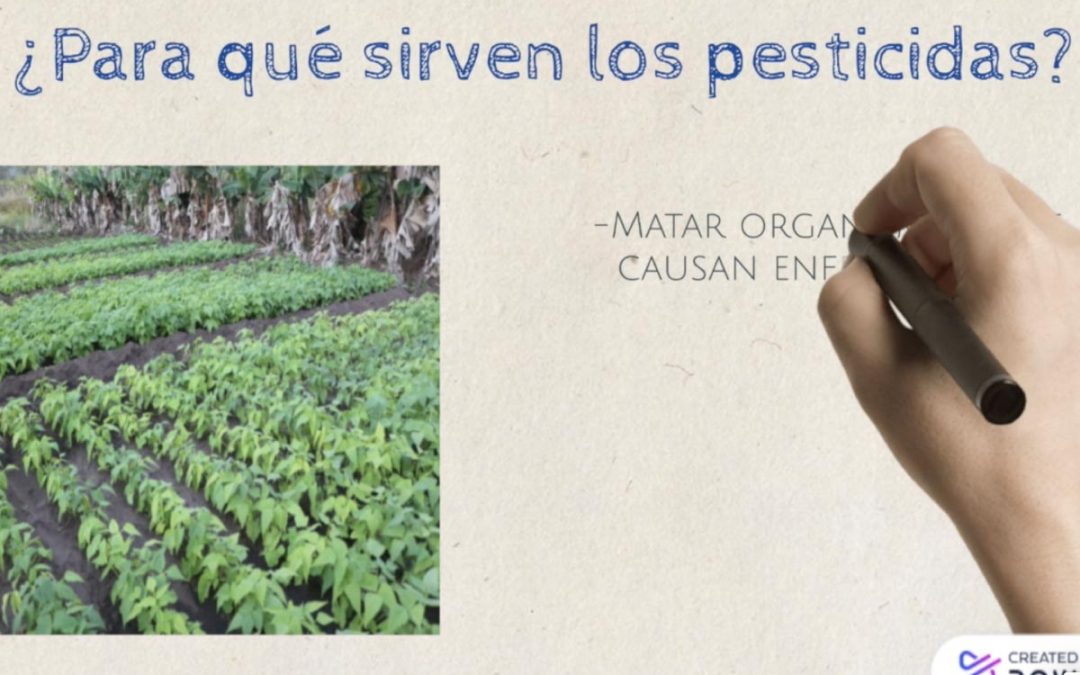 Pesticidas y sus componentes químicos