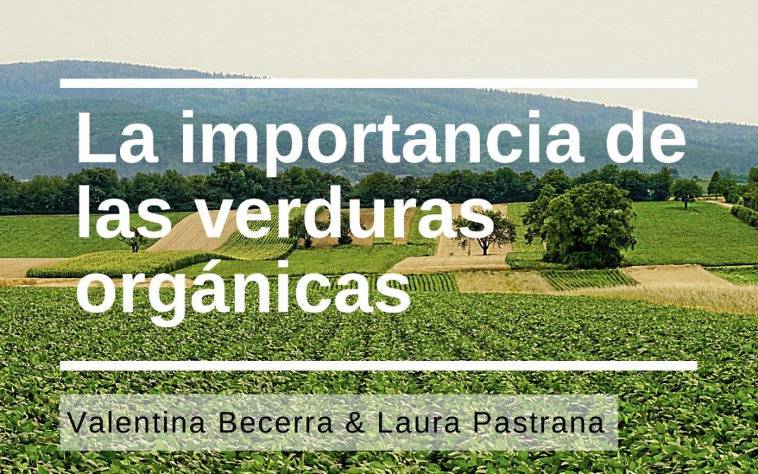 Frutas y verduras orgánicas