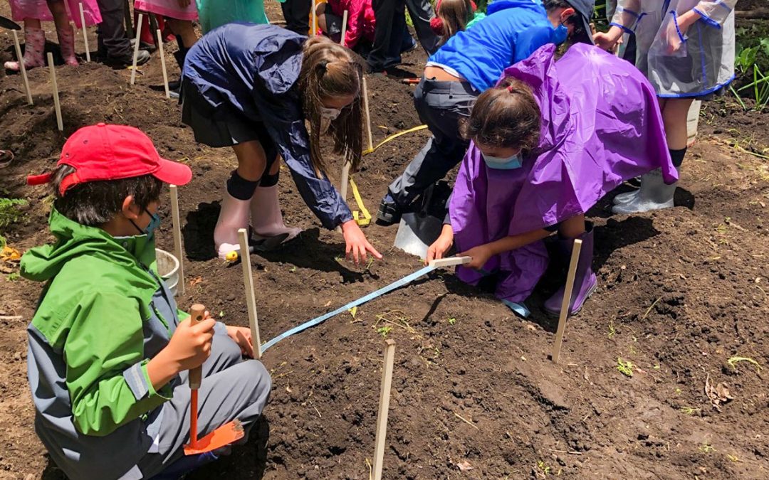 Gardening project in Zasqua